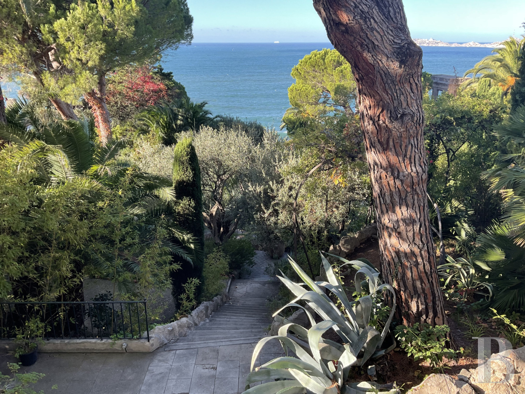 À Marseille, au cœur du Roucas-Blanc, une villa du 19ème siècle et ses spectaculaires jardins et rocailles dominant la corniche - photo  n°6